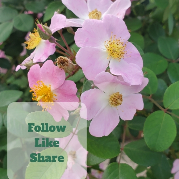 ๐ Please follow my new game. Thank you for your support. - Picture 5 of 9